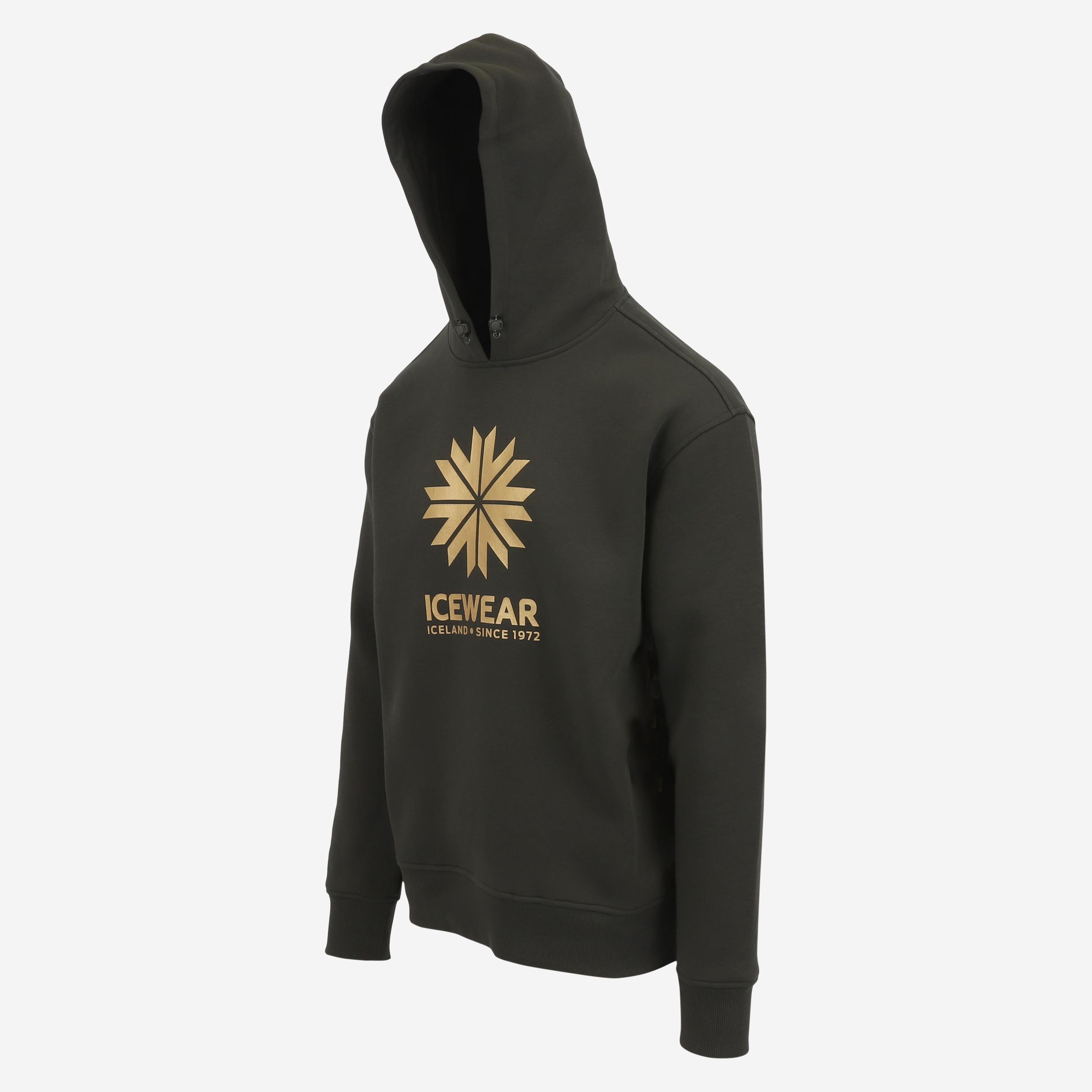iceland-hoodie-cotton_lonsvik-anniversary-edition_45.jpeg